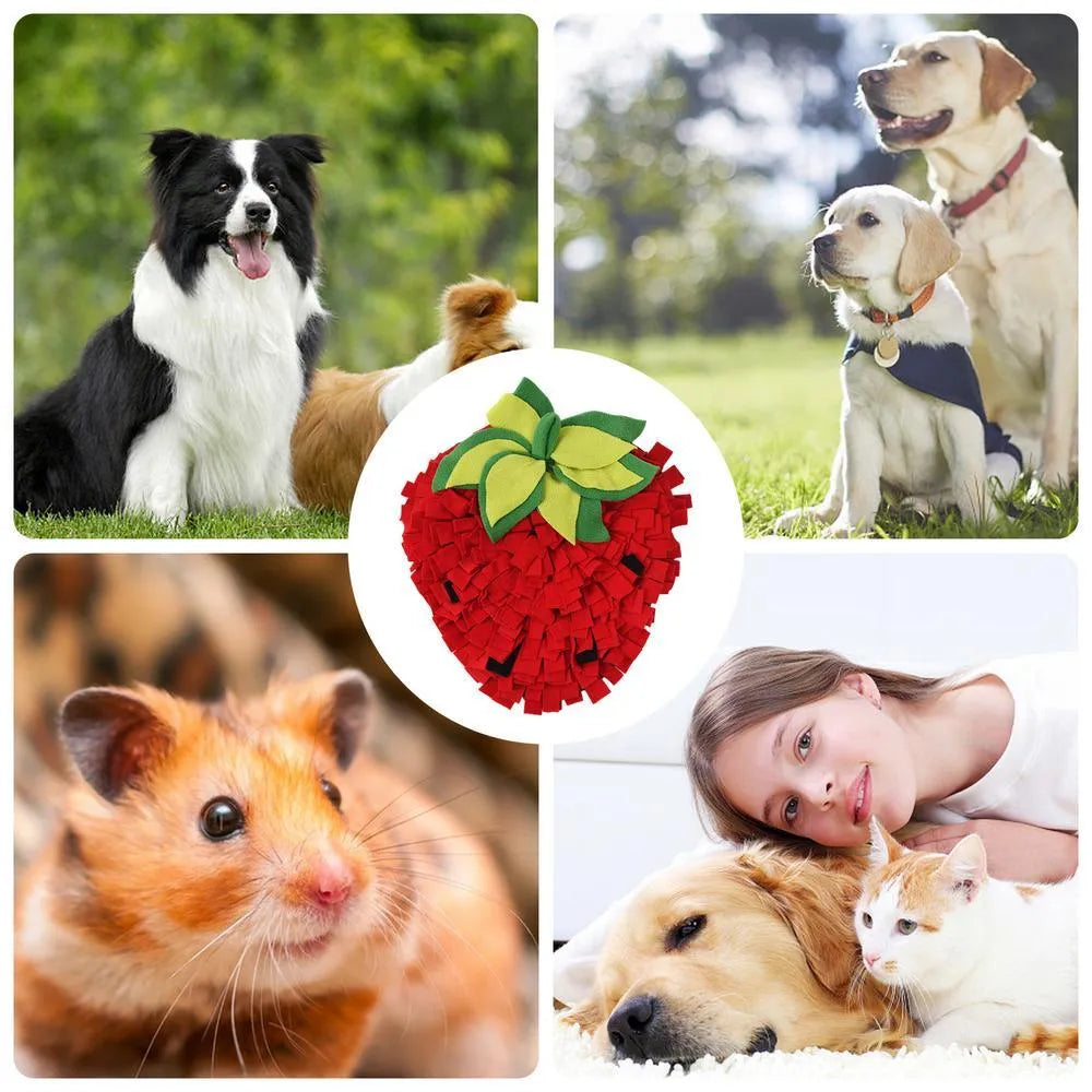 Red strawberry-shaped snuffle mat for dogs and cats as a slow feeder foraging toy.