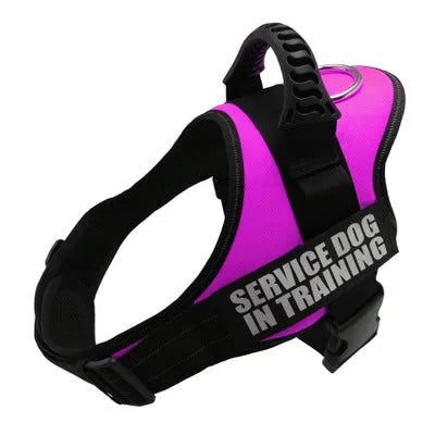 Reflective adjustable no-pull dog harness with handle on black labrador