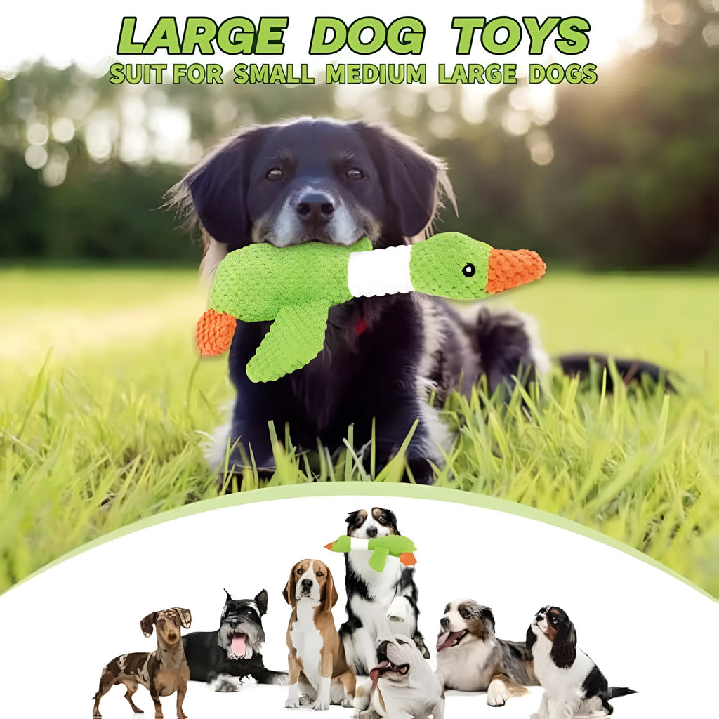 Blue durable duck plush dog toy with squeakers on a plain background