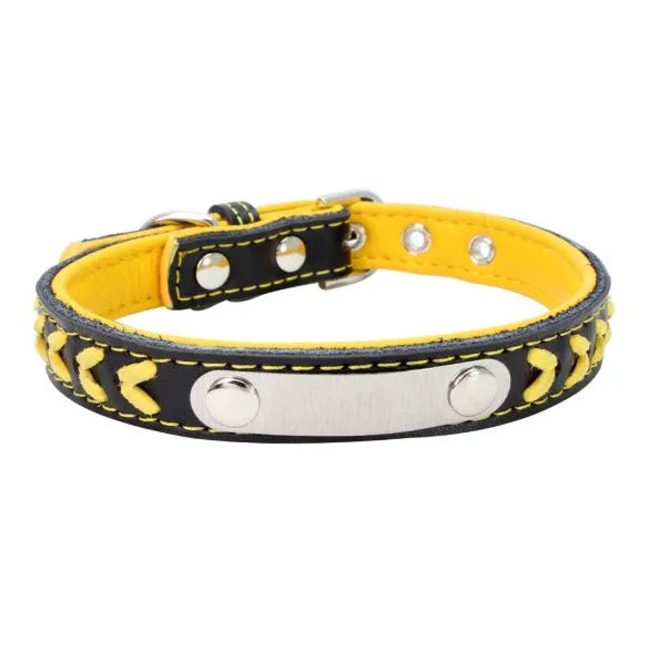 Stainless steel iron dog collar with laser lettering on genuine leather strap, available in blue, pink, purple, red and yellow
