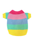 Rainbow wool dog sweater on a dog, showing knit texture and bright colour pattern