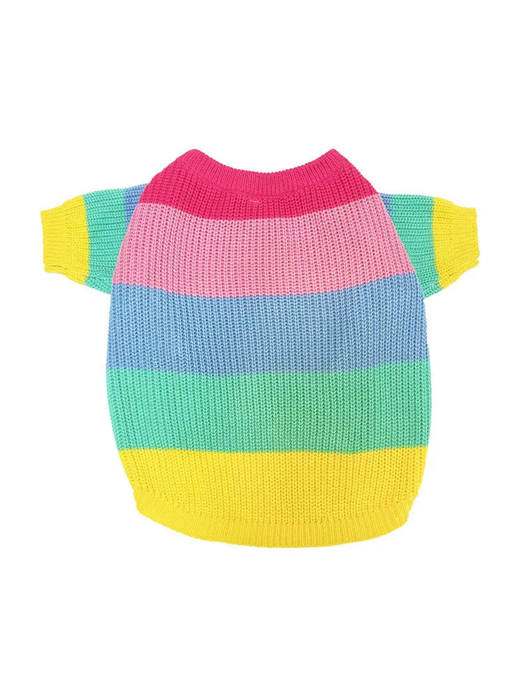 Rainbow wool dog sweater on a dog, showing knit texture and bright colour pattern