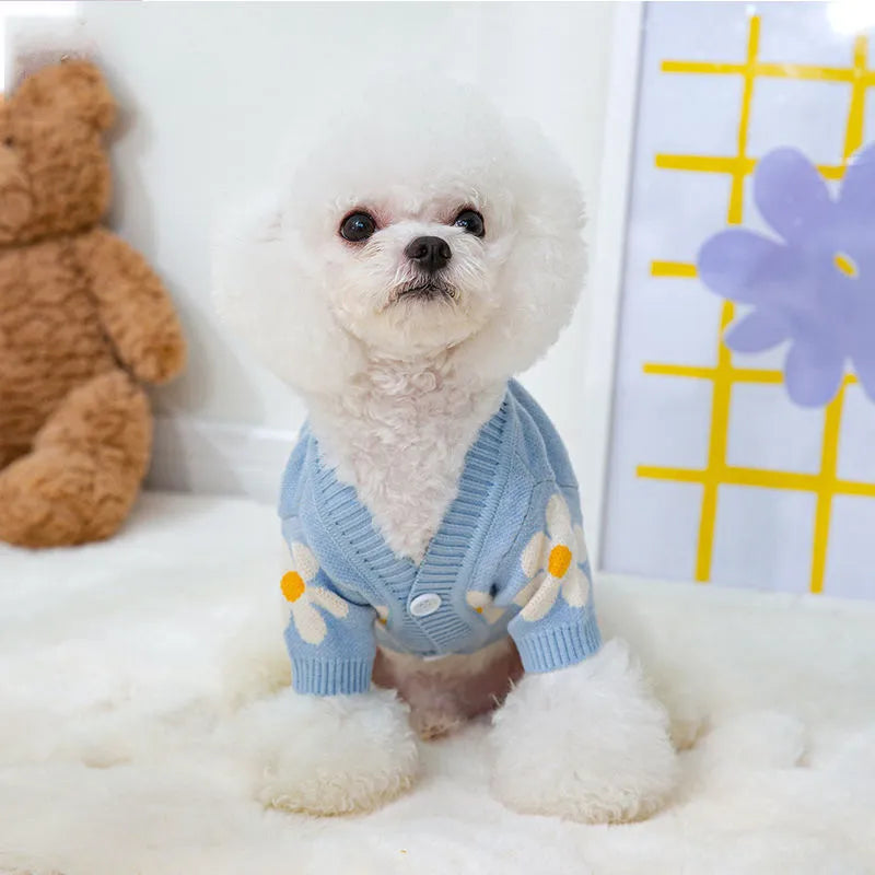 Blue hooded polyester sweater on a small dog, showing autumn winter pet coat design.