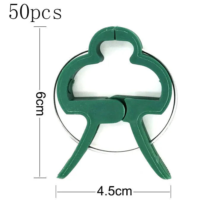 Green plastic and zinc plant fixing clips for supporting climbing tomato and cucumber vines.