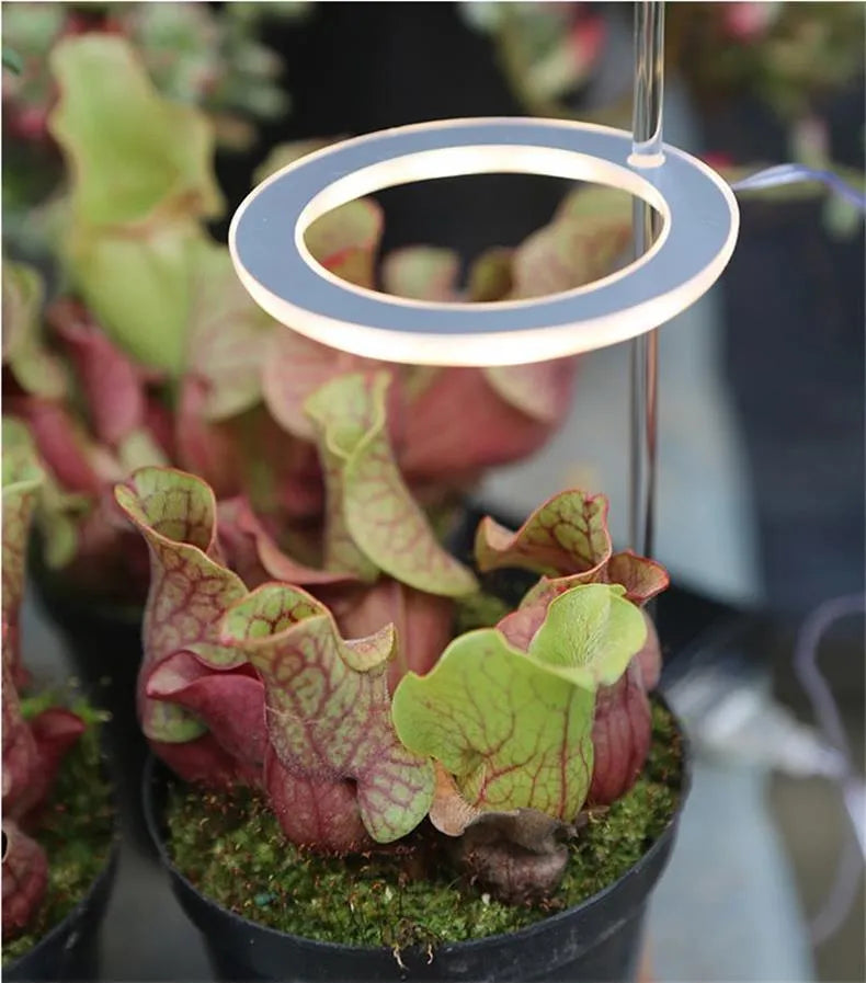 USB LED grow light with transparent housing and 25cm acrylic stick for indoor plants