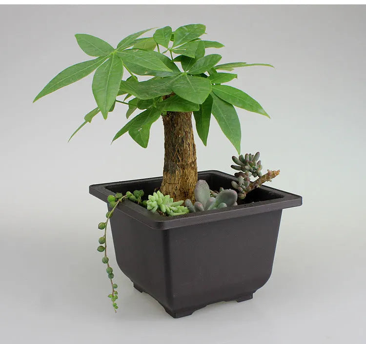 Dark brown antique-style recycled plastic plant pot, shown in a selection of sizes for desktop or floor use.