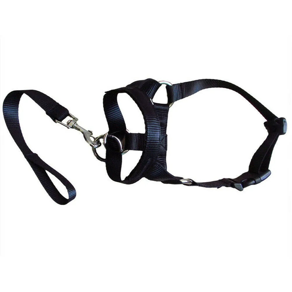 Nylon dog muzzle rushing leash cover in black, blue, and red with size options