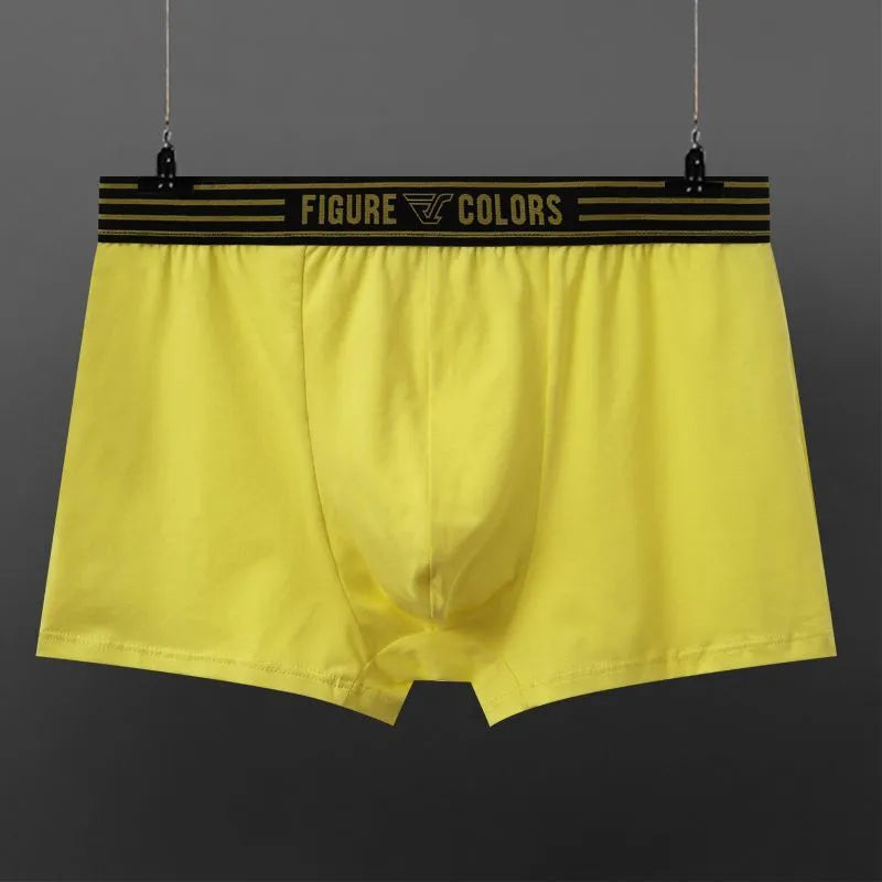 Men's cotton knitted low-waist boxers in solid colours, size range M to 3XL, nine colour options