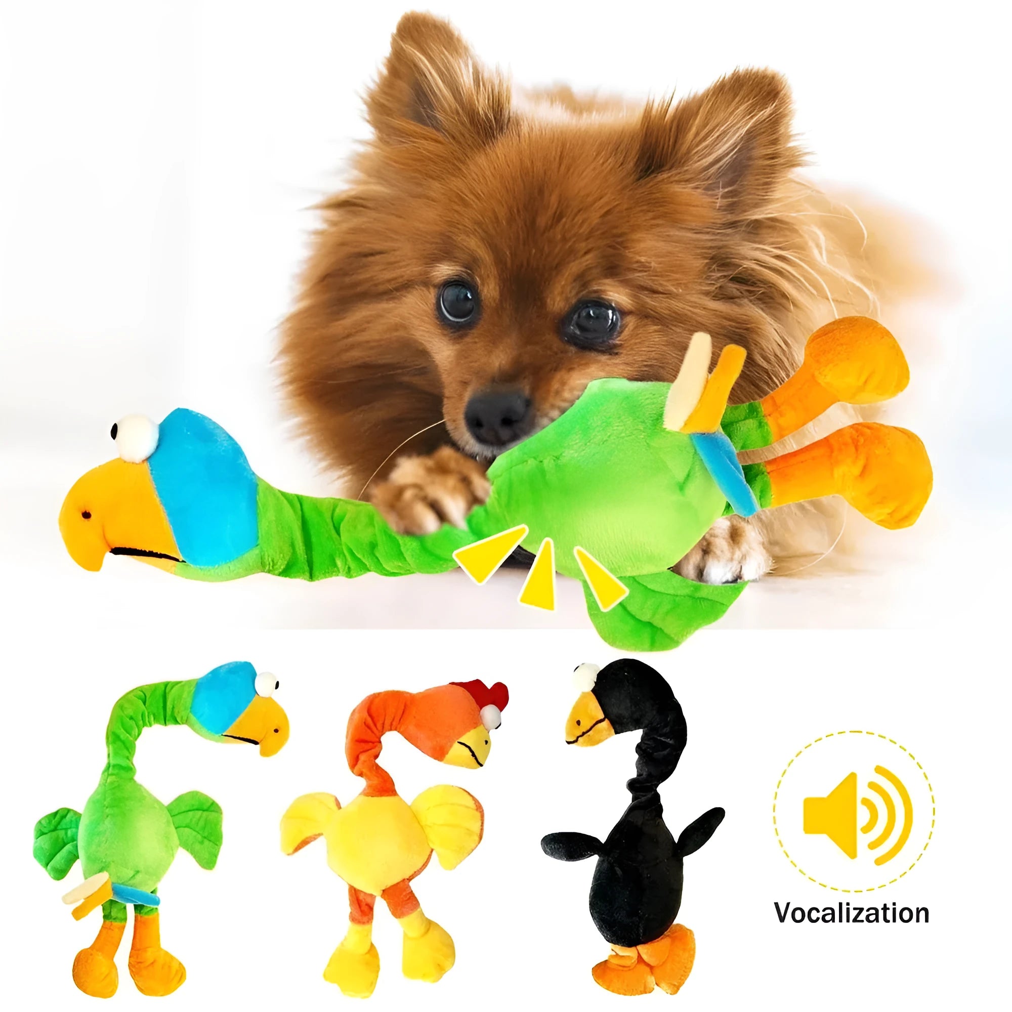 Screaming chicken sound dog toy in black, green and orange colours