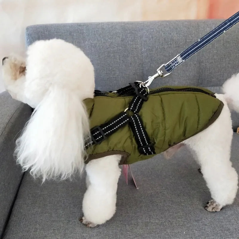 A red waterproof dog coat with an integrated harness on a Labrador retriever.