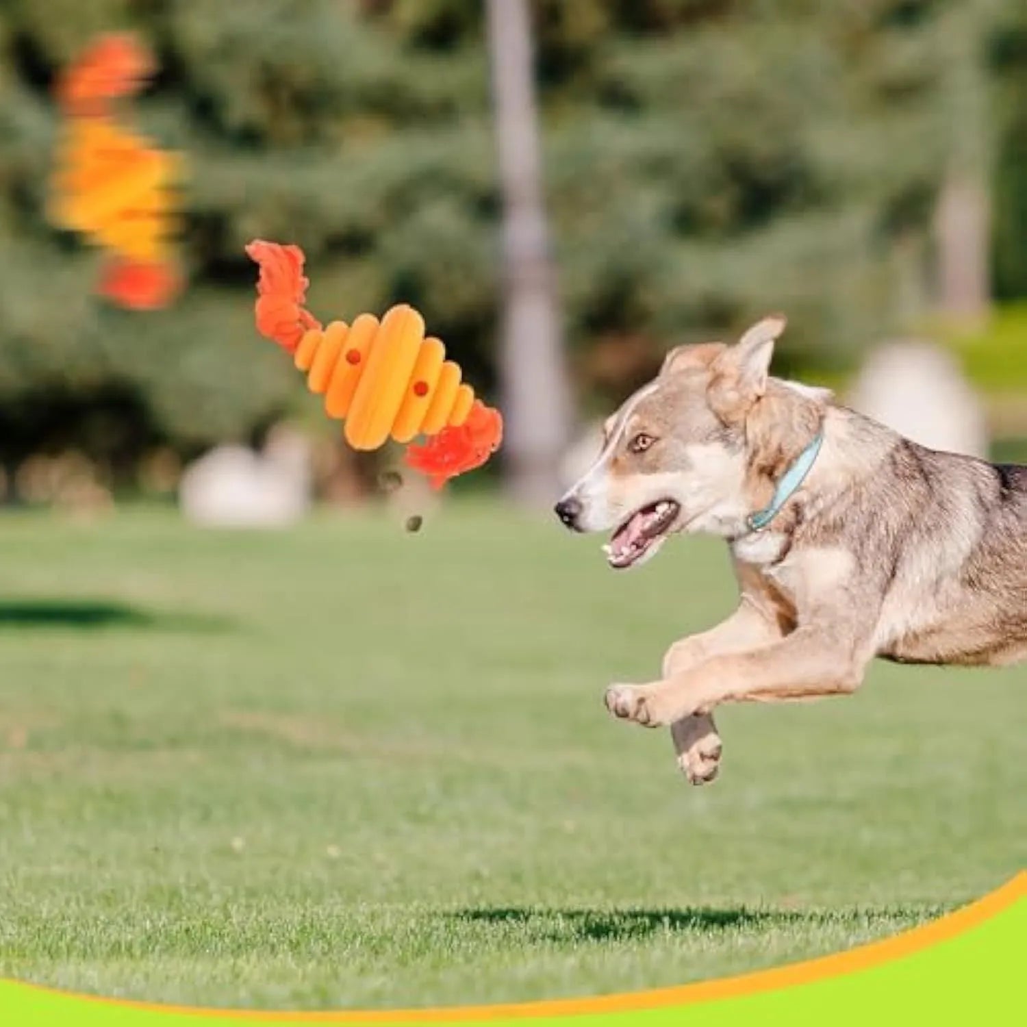 Green and yellow split spiral dog ball toy with rope for tug of war and treat dispensing