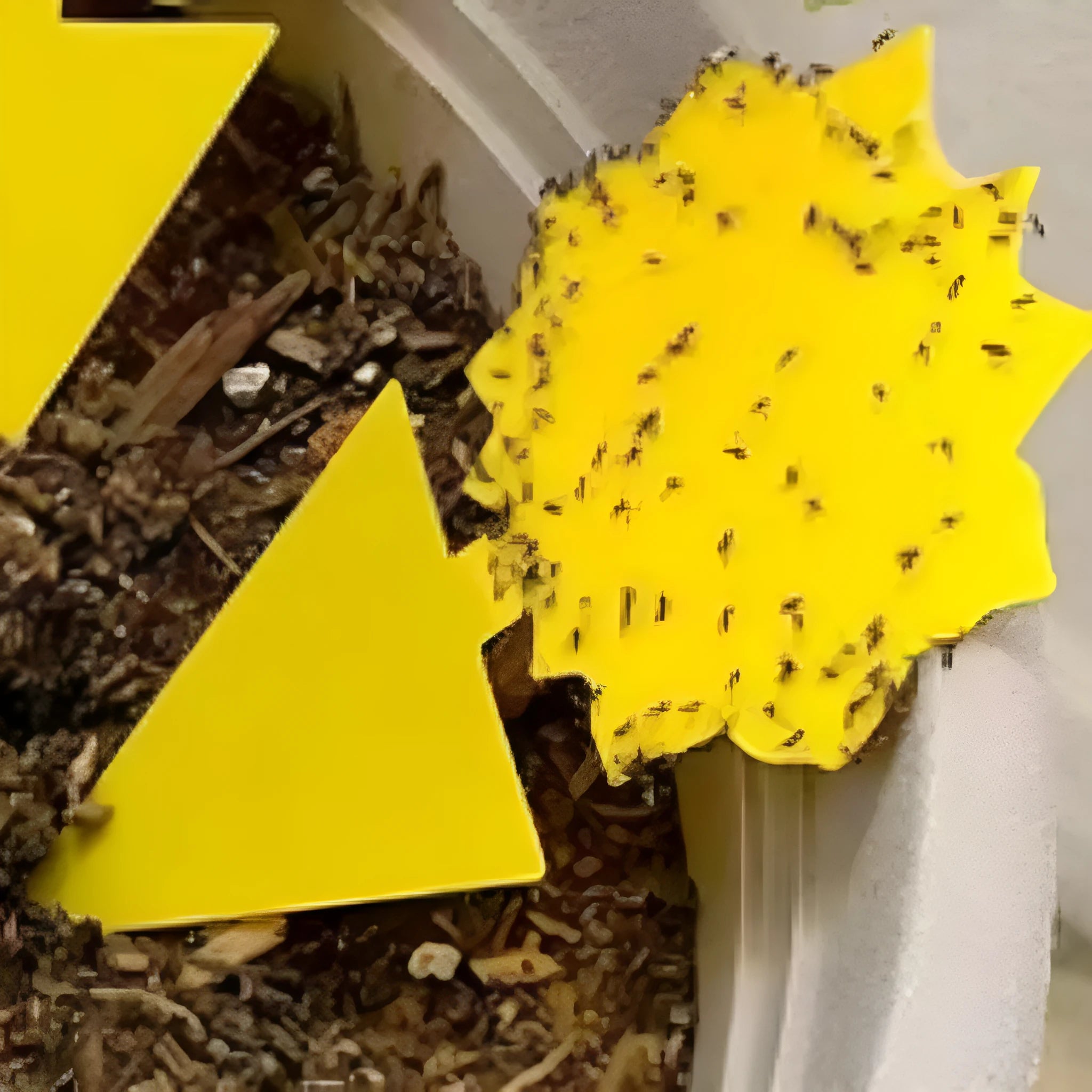 Yellow PP sticky insect trap for garden pest control catching aphids and whitefly