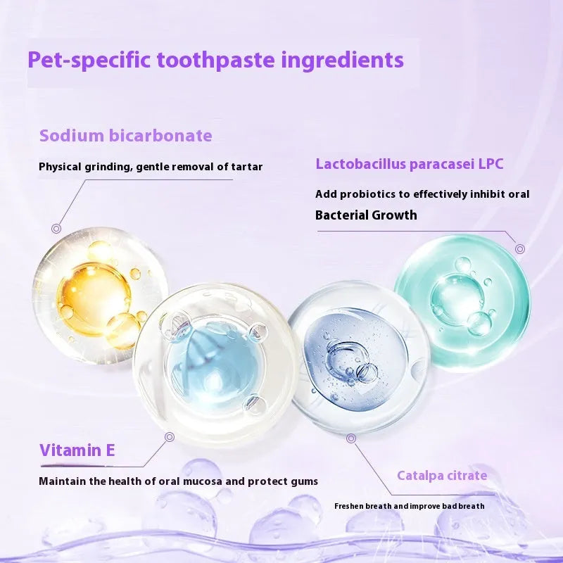 White pet toothbrush pen with blue brush tip for dog and cat dental care