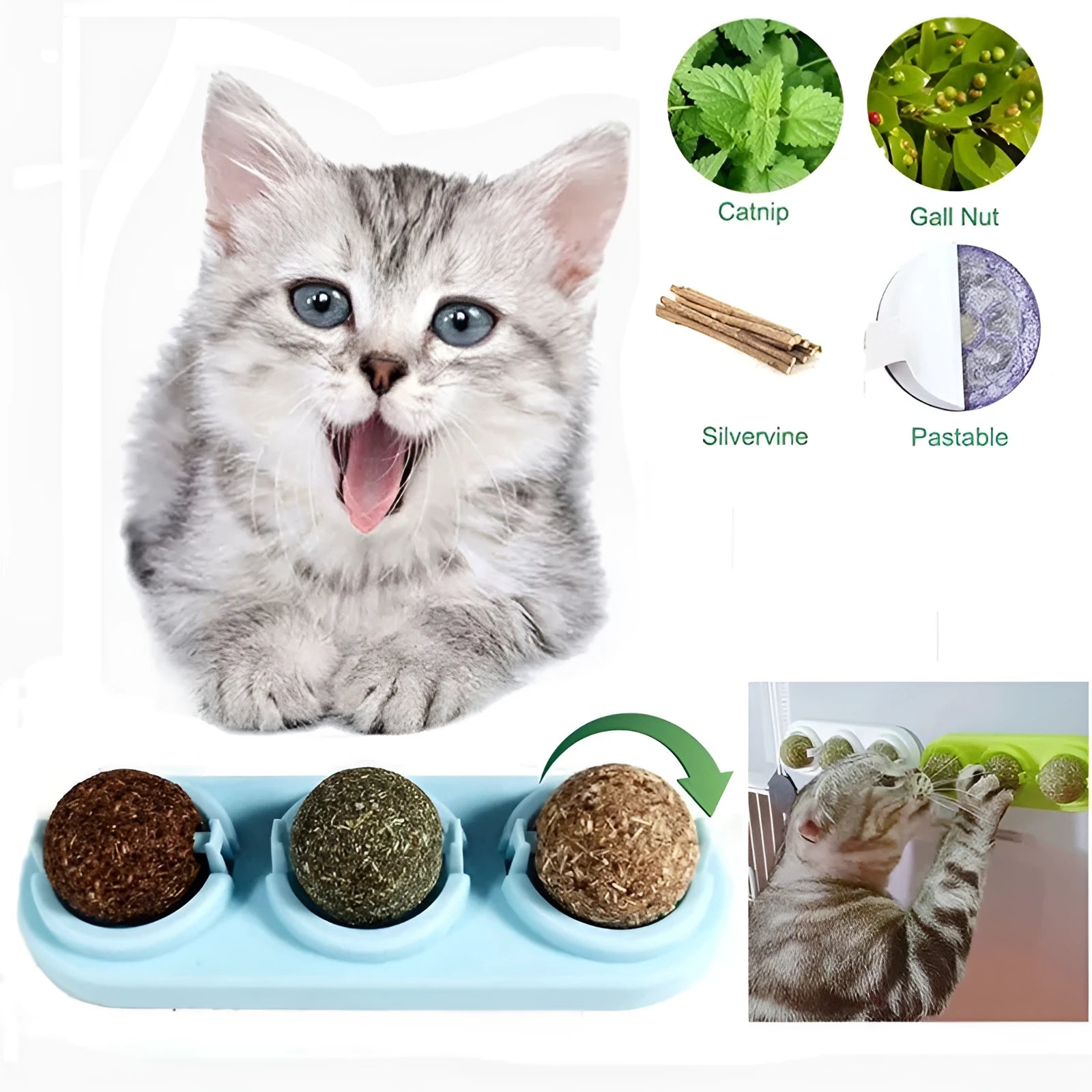 Self-adhesive rotated catnip lick ball for cats in assorted colours with 90g box