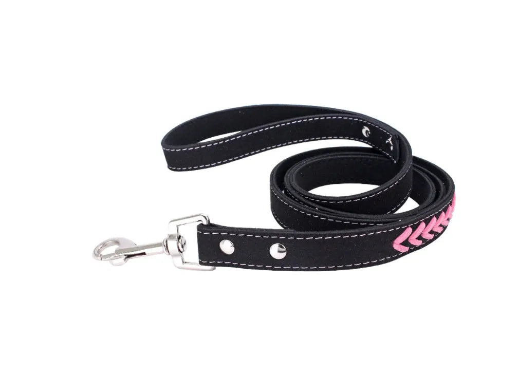 Stainless steel iron dog collar with laser lettering on genuine leather strap, available in blue, pink, purple, red and yellow