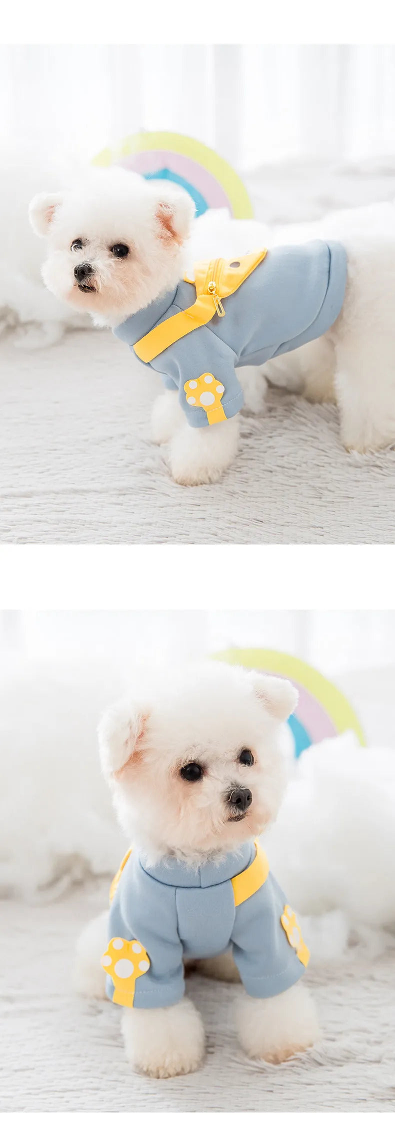 Blue cartoon backpack pet clothes milk silk sweater on small dog in side view