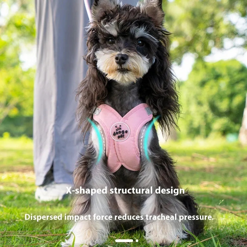 Blue polyester dog vest with an attached hand-holding lead, shown on a model dog.
