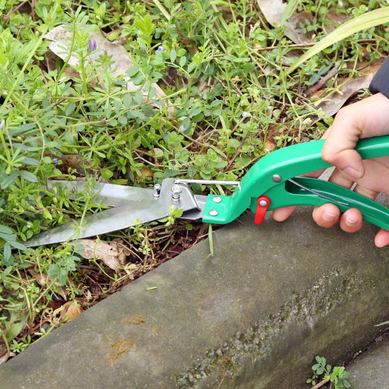 Ten-piece gardening tool set with iron heads and plastic handles in green colour