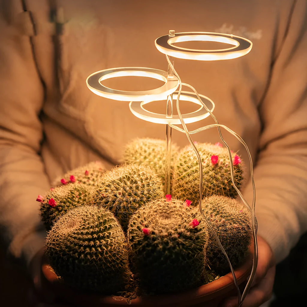 USB LED grow light with transparent housing and 25cm acrylic stick for indoor plants