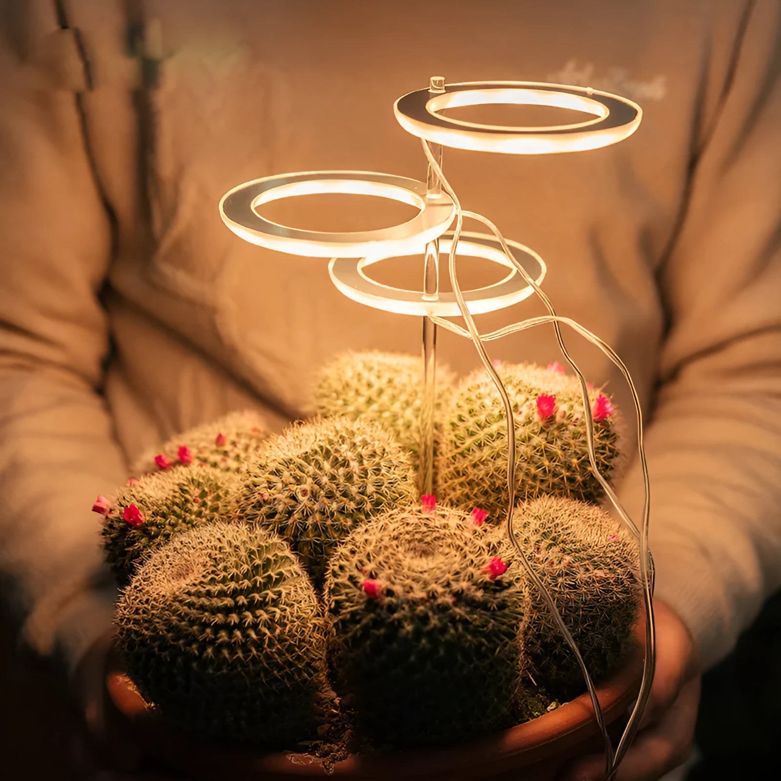 USB LED grow light with transparent housing and 25cm acrylic stick for indoor plants