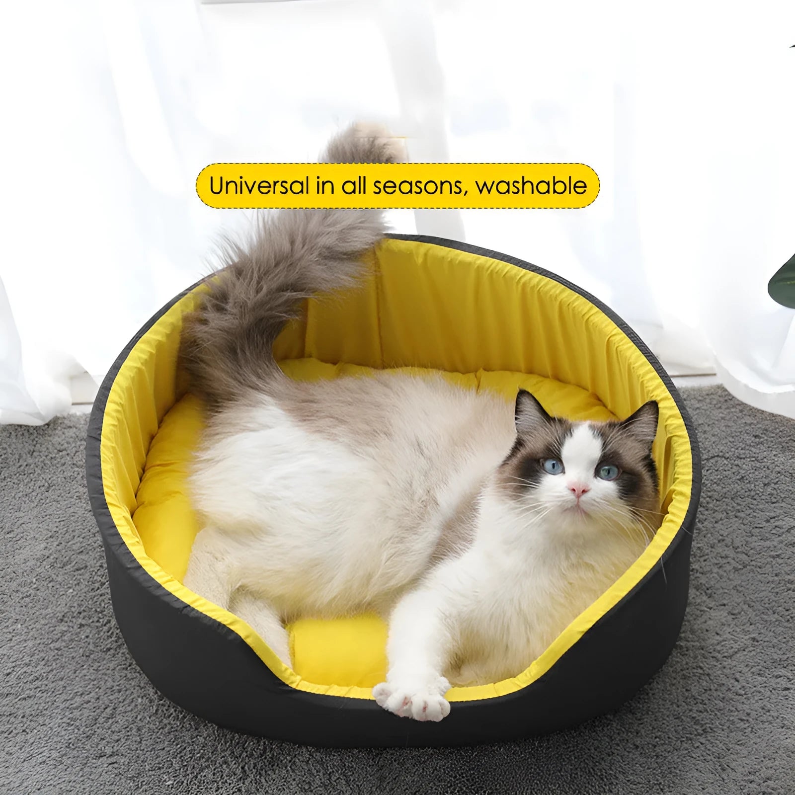 Washable cloth pet kennel in black, shown in a large size for cats or small dogs.