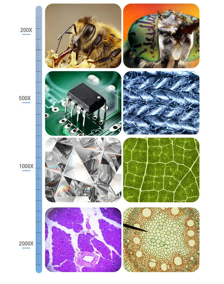 Digital microscope with 7 inch HD screen and dual lenses for 2000 times magnification