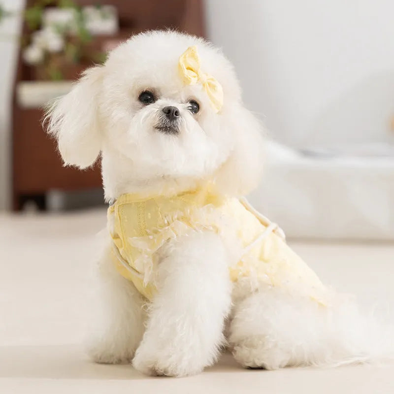 Two-tone sleeveless pet outfit in yellow or blue with ruffles, matching bow and small woven crossbody bag.