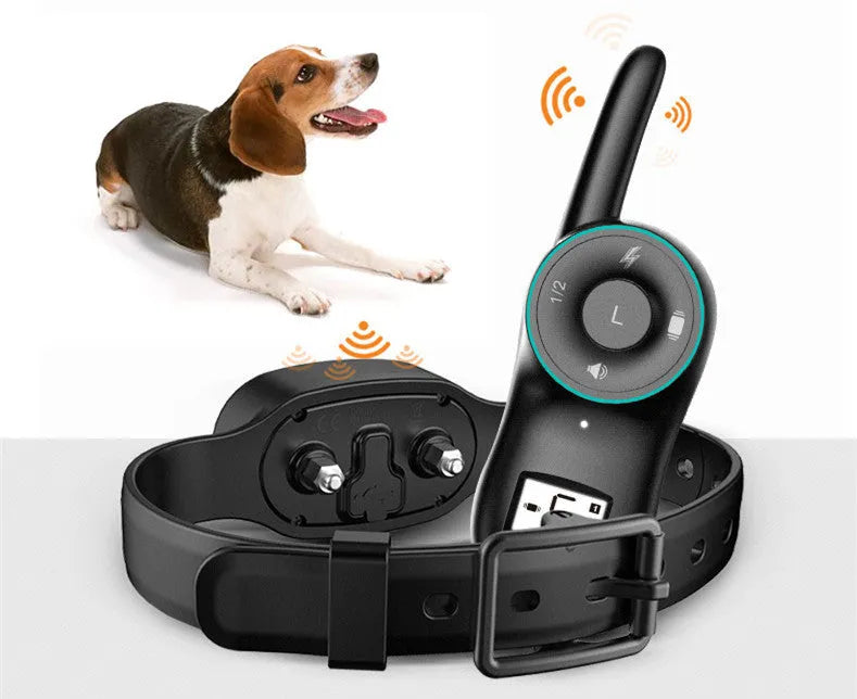 Black and orange rechargeable remote control dog training collar with waterproof design.