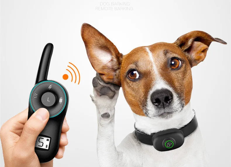 Black and orange rechargeable remote control dog training collar with waterproof design.