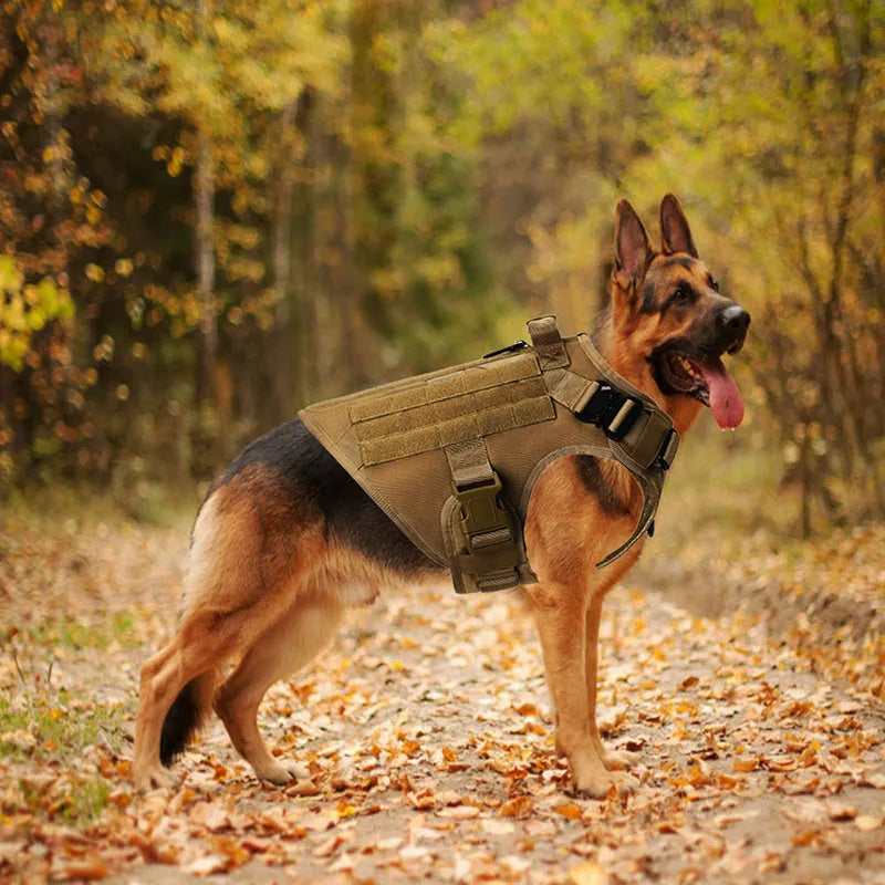 Outdoor tactical dog vest for large dogs in polyester, available in black, green, mud and camouflage, sizes S to XL