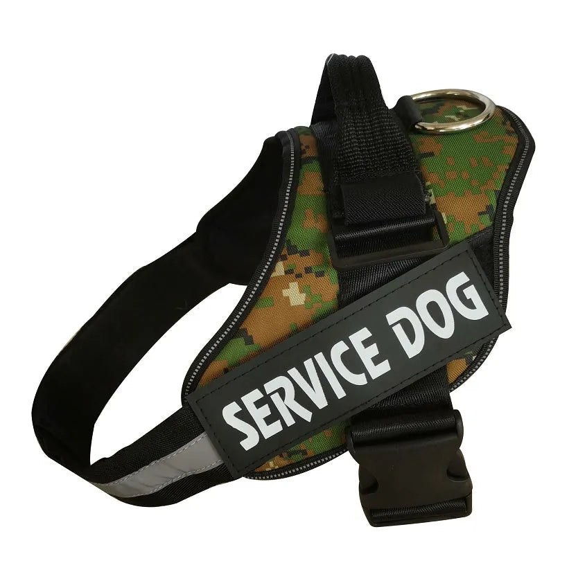 Reflective adjustable no-pull dog harness with handle on black labrador