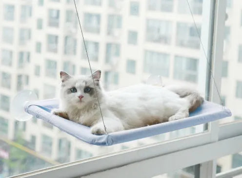 Suction cup cat hammock hanging bed with breathable upgrade option and mat or toy accessory for living room use