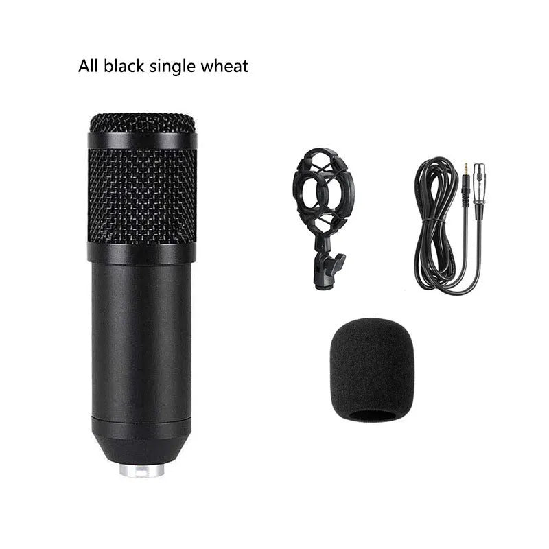 BM800 condenser microphone kit with shock mount, pop filter, and suspension bracket on a desk.
