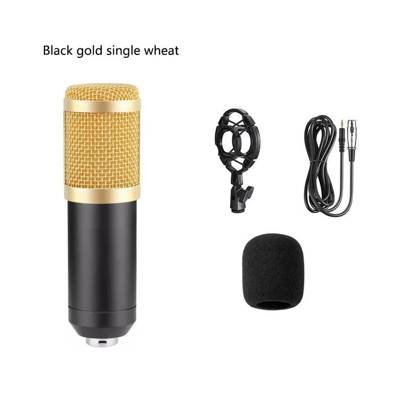 BM800 condenser microphone kit with shock mount, pop filter, and suspension bracket on a desk.