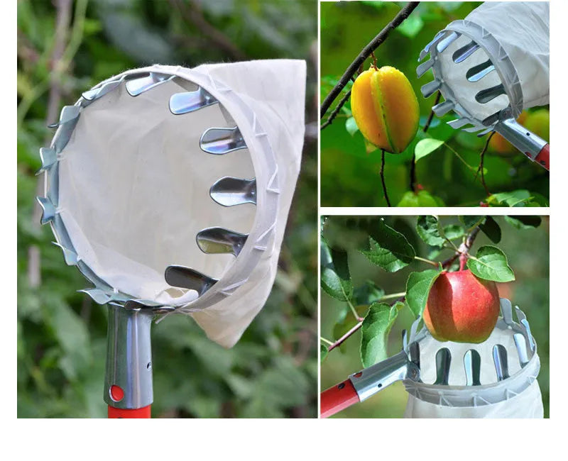 Fruit picker tool with steel frame and cloth bag for harvesting garden fruit