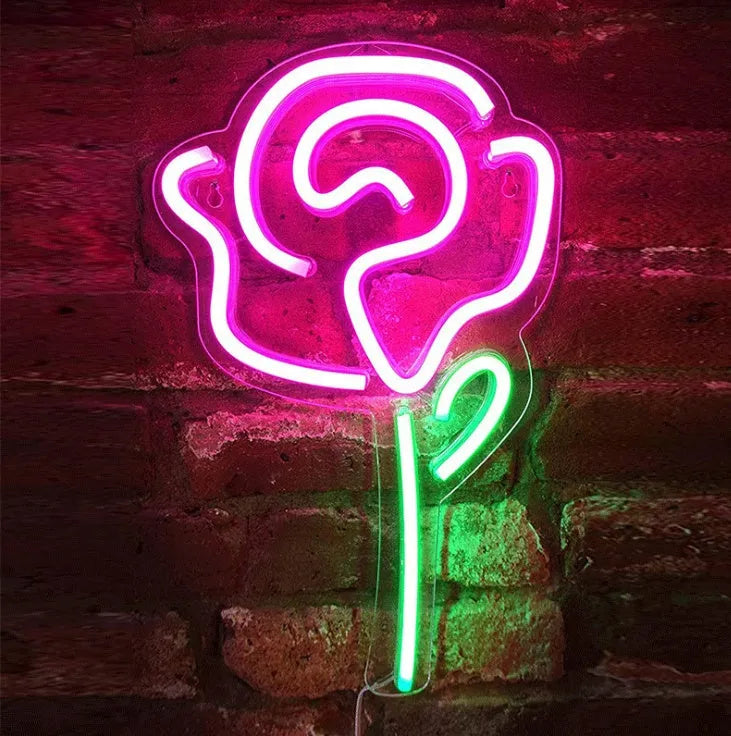 USB LED neon wall light with transparent acrylic backboard, special-shaped design for indoor party and interior decoration