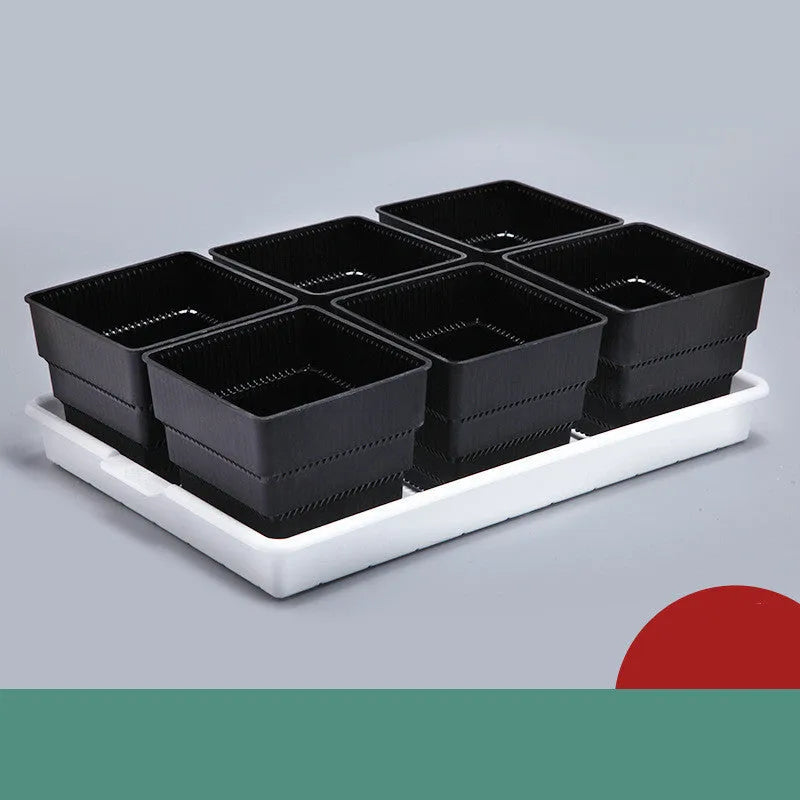Meishi controlled root succulent flower pot with black and white colour options, 32cm base diameter