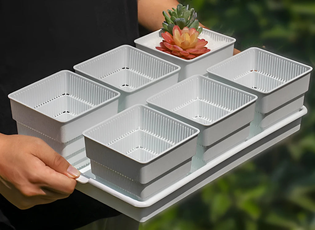 Meishi Controlled Root Flower Pot with black tray and white basins showing 32cm diameter