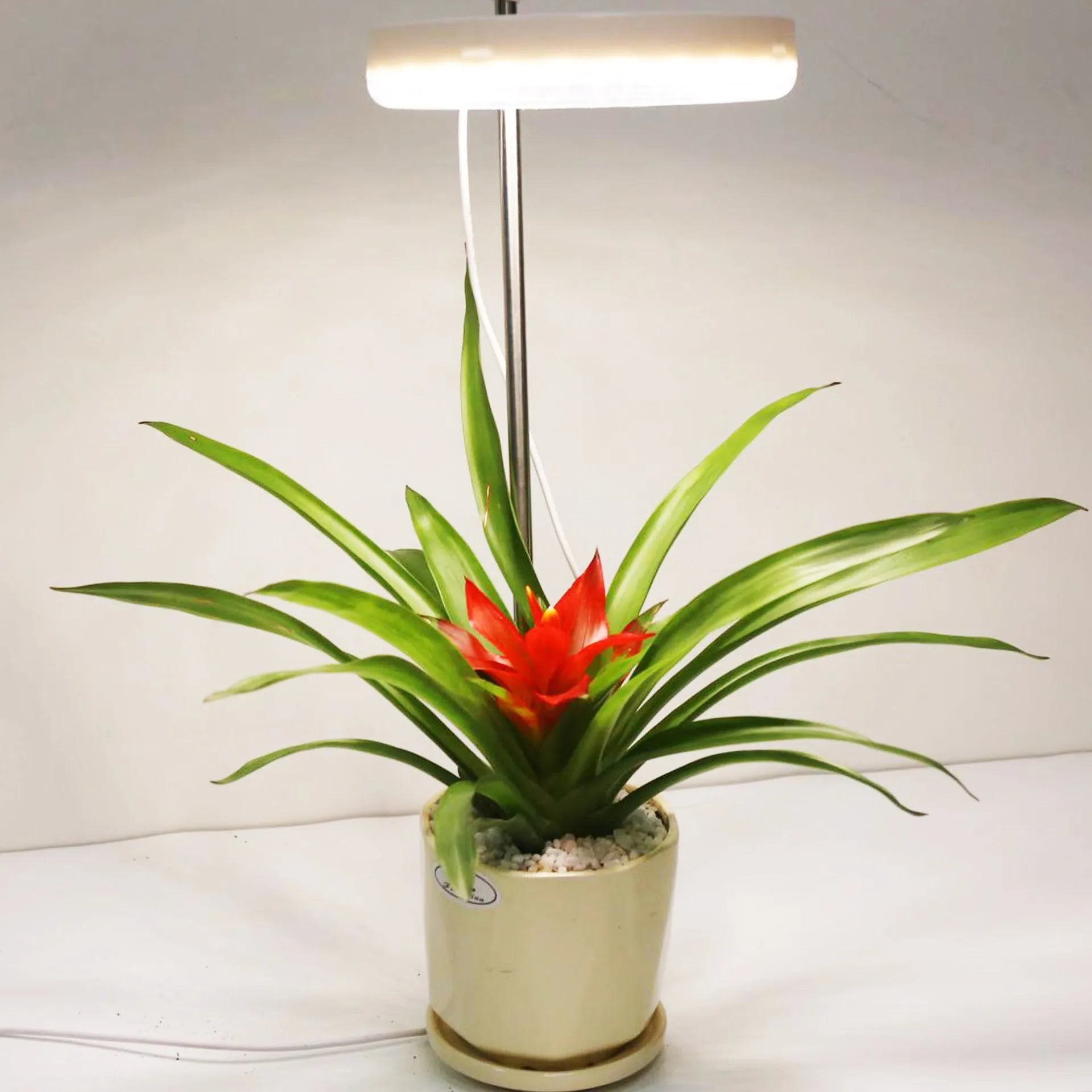 Desk plant growth lamp with full spectrum lighting and 160mm compact design for home office use