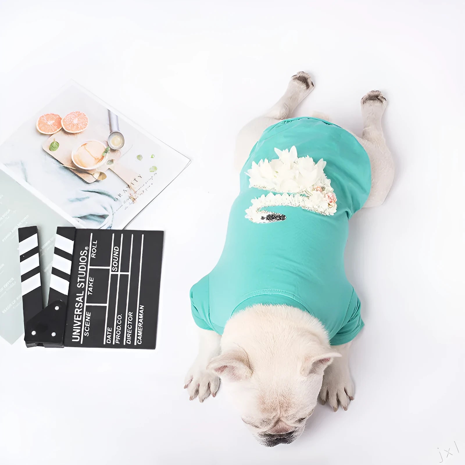 Cotton dog sweater in lake blue, British style knit jumper for small dogs