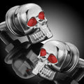 Pair of silver metal skull decorative bolts for motorcycle car fairing windshield license plate
