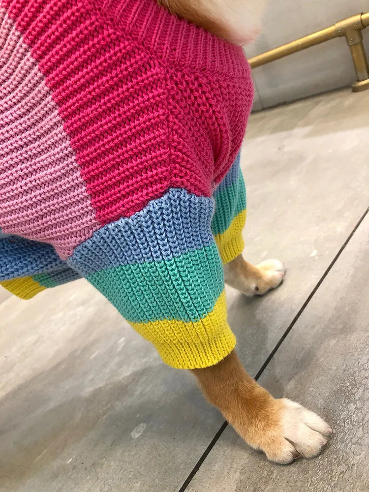 Rainbow wool dog sweater on a dog, showing knit texture and bright colour pattern