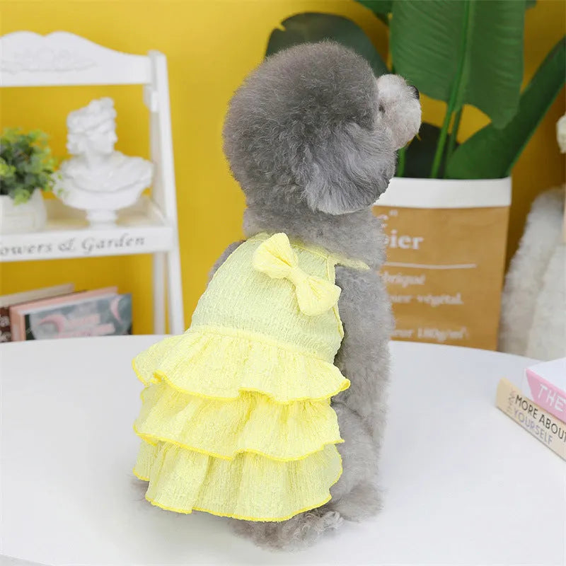 Small white dog wearing a rose red layered skirt princess dress.
