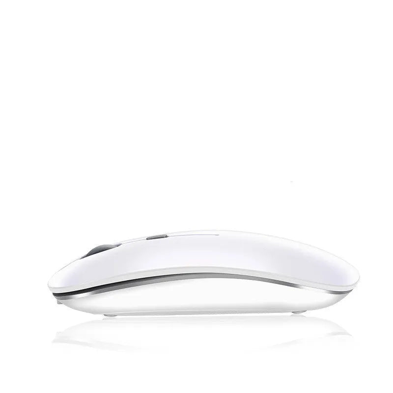 Wireless Bluetooth mouse with rechargeable battery, 1600 DPI optical sensor, compatible with Apple iPad and laptop