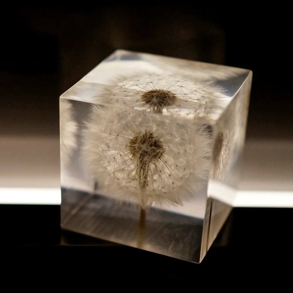 5cm transparent resin cube containing real preserved dandelion flower with USB charging base