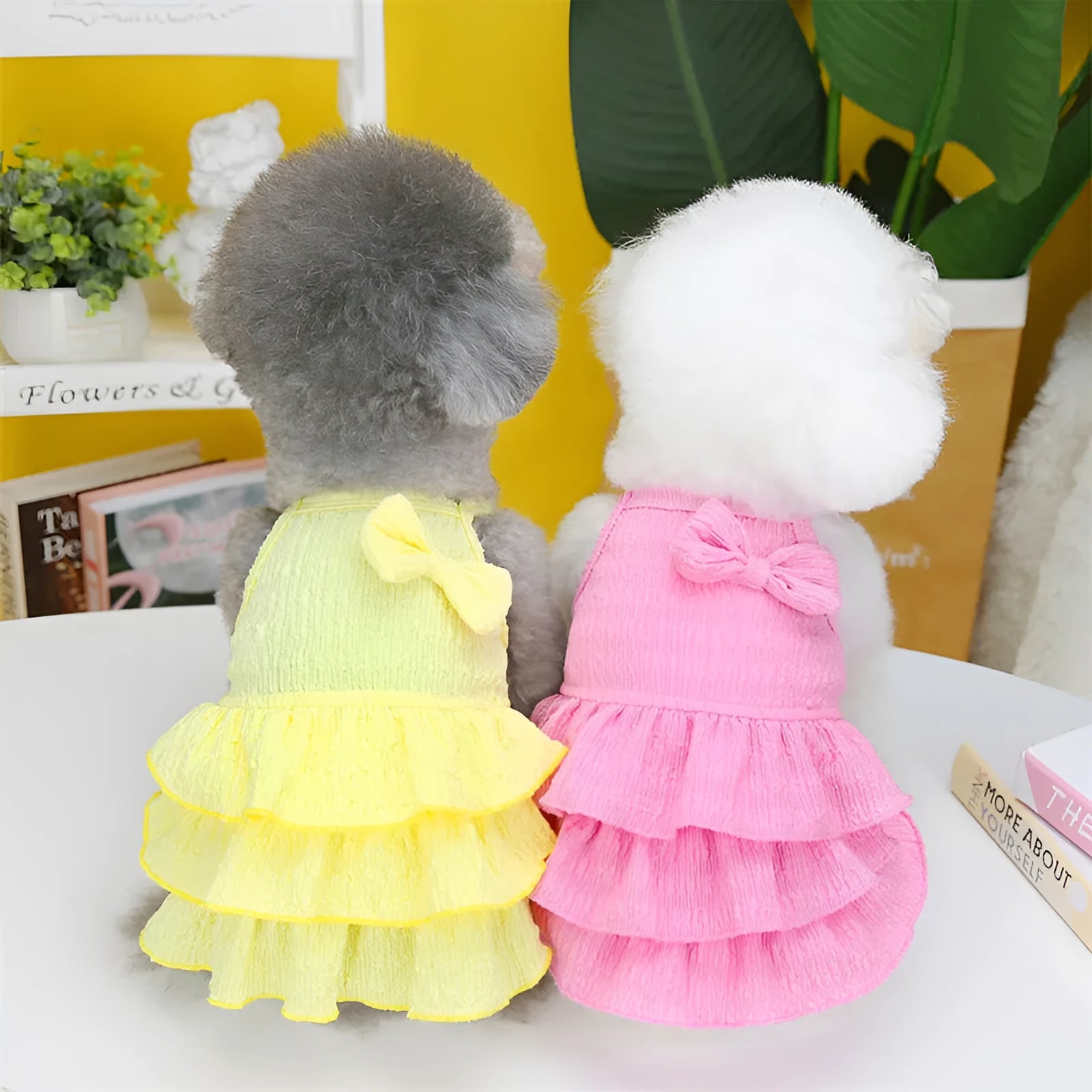 Small white dog wearing a rose red layered skirt princess dress.