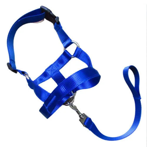Nylon dog muzzle rushing leash cover in black, blue, and red with size options