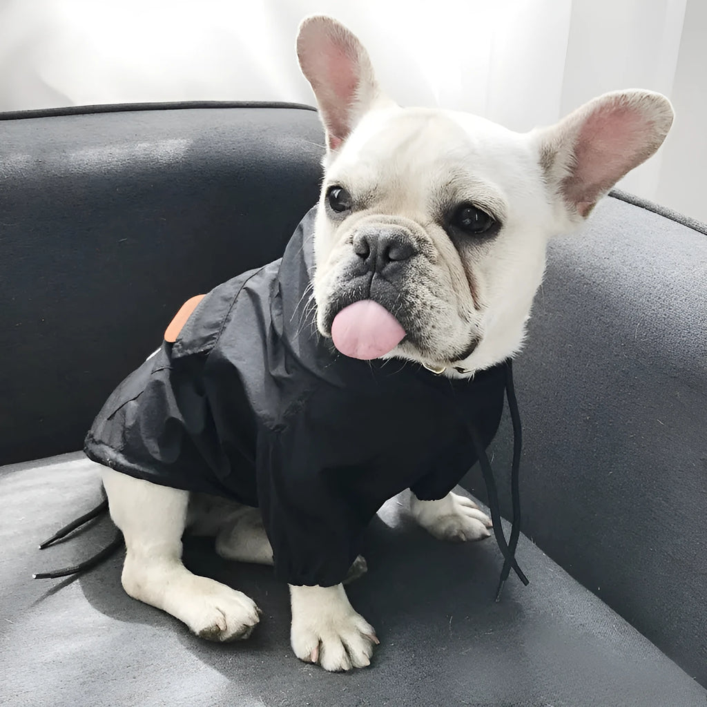 Black and red cotton sunscreen dog vests in sizes M to 4XL on white background
