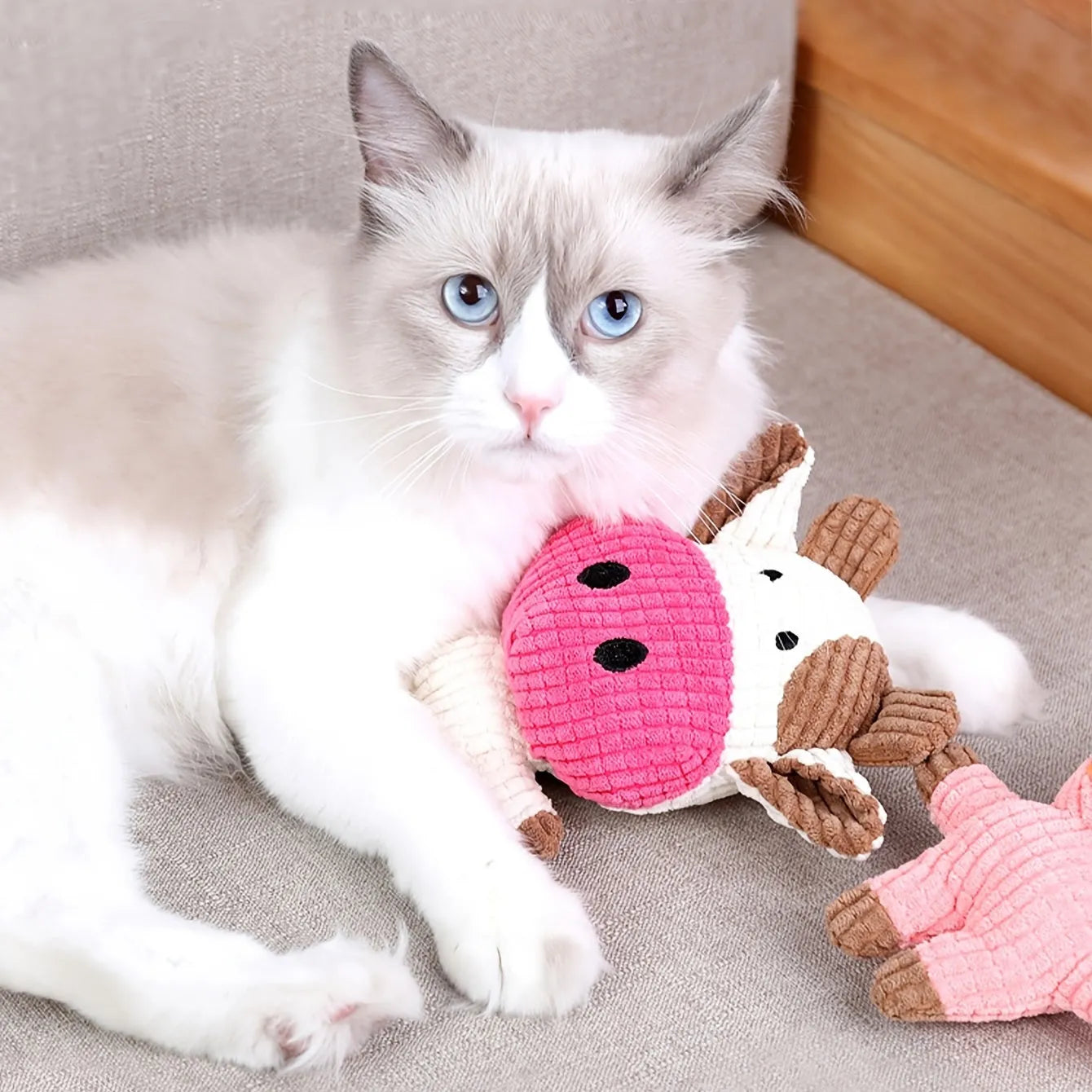 Animal shape plush squeaky dog toys in bright colours with bite-resistant construction
