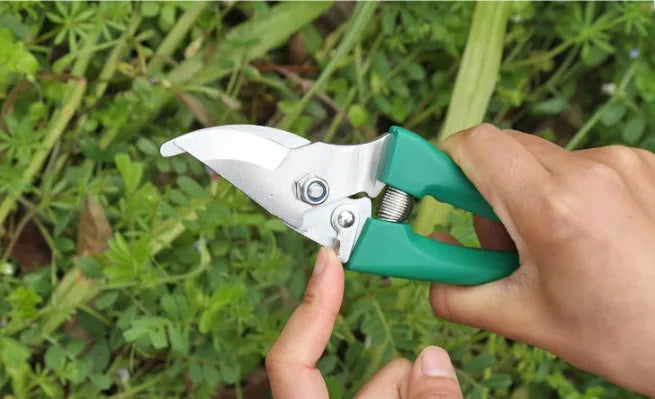 Ten-piece gardening tool set with iron heads and plastic handles in green colour